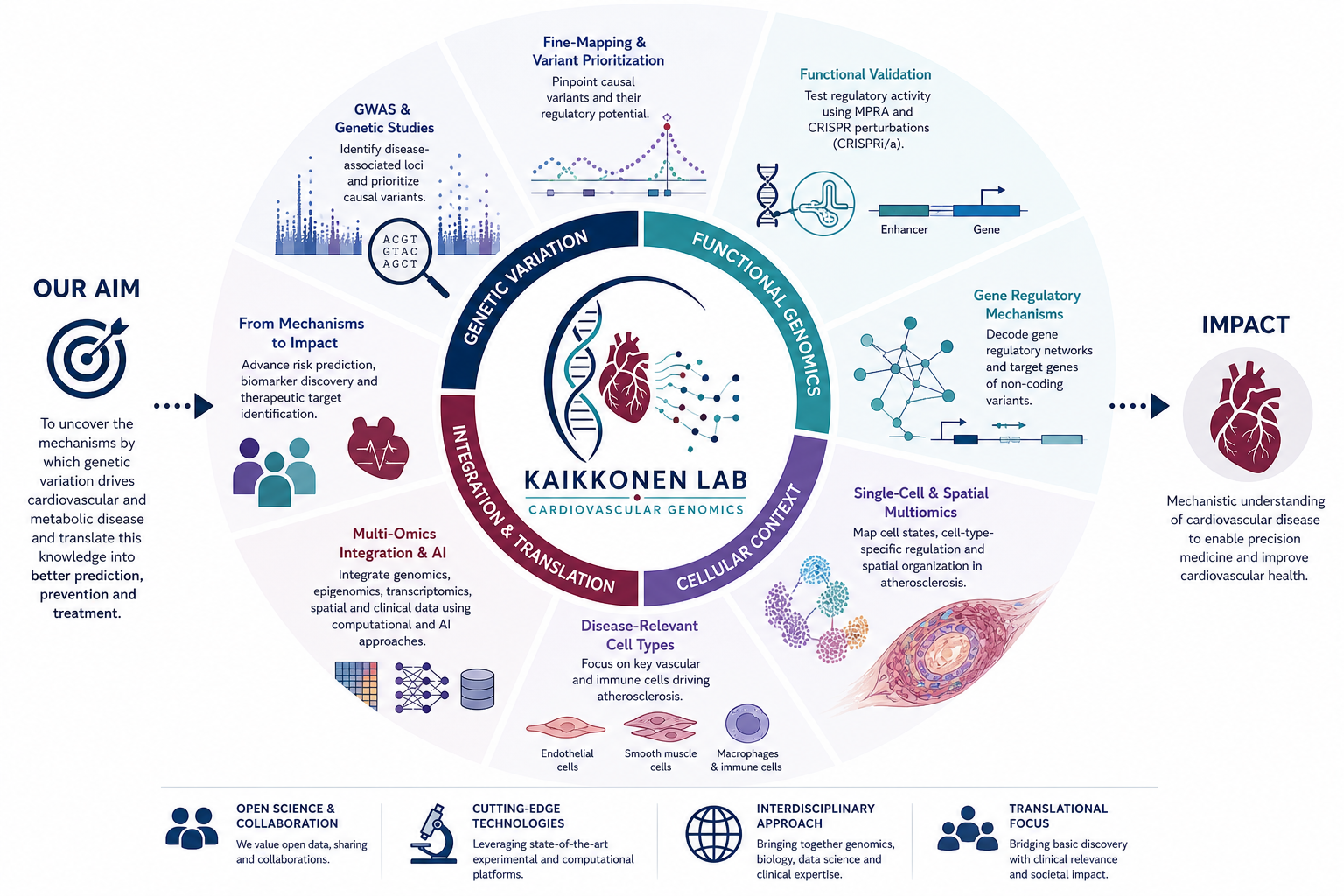 Kaikkonen Lab cardiovascular regulatory genomics research